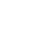 VGN Logo 